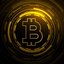 bitcoinflood profile picture