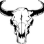 creodas profile picture