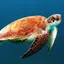 deepwaters profile picture