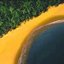 discernente profile picture