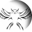 dlmmqb profile picture