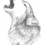 elpop profile picture