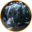 flamistan profile picture