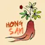 hongsam profile picture