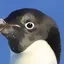 hypoferalkus profile picture