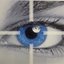 mdakash62 profile picture