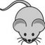 mys profile picture