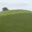 puncakbukit profile picture