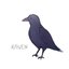 ravenkim profile picture
