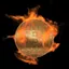 theisacoin profile picture
