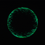 unmuted profile picture