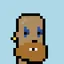 zottone444 profile picture